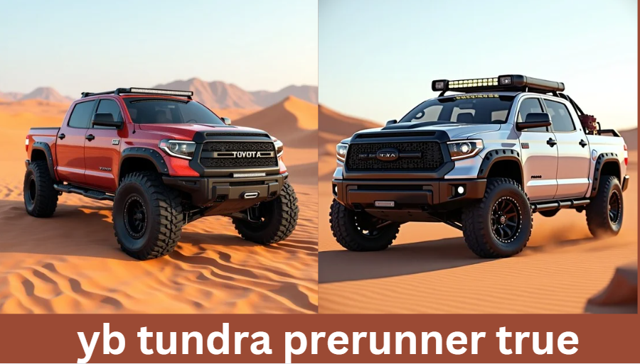 yb tundra prerunner true